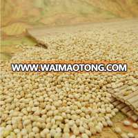 2016 crop white red black yellow glutinous broomcorn millet sticky millet for bird feeds